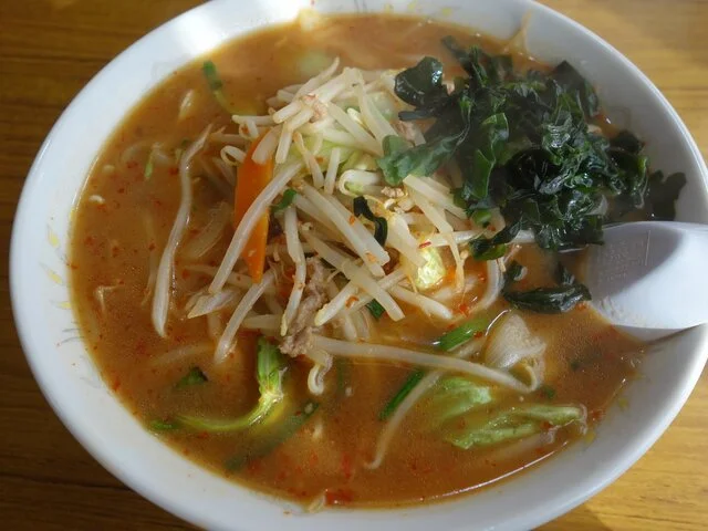 かがの亭 - 登米市その他（ラーメン）の写真