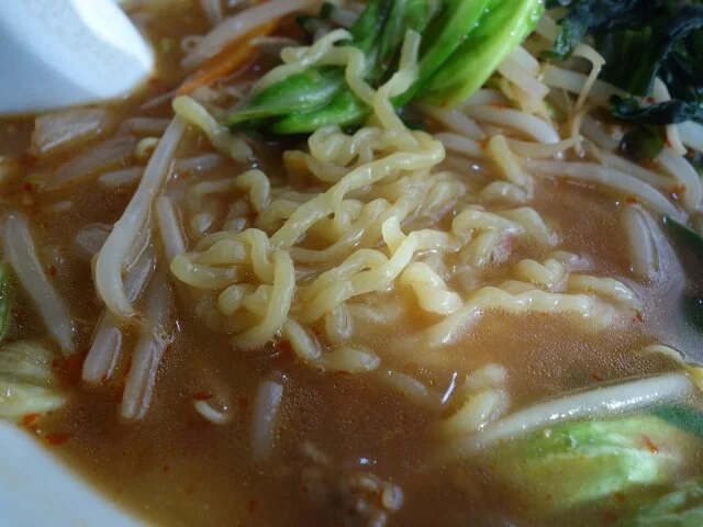 かがの亭 - 登米市その他（ラーメン）の写真