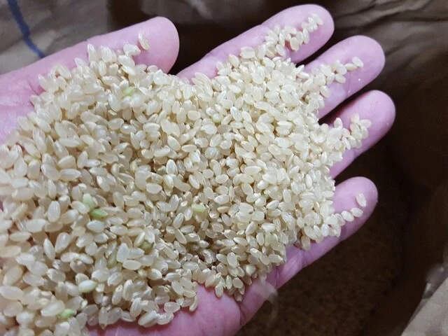 宮城商事 塩釜水産物仲卸市場店 - 東塩釜（その他）の写真