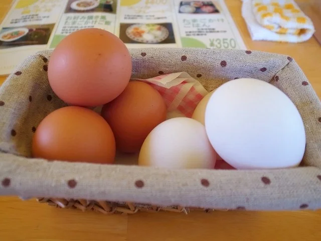 ひまわり農園 - 古川（日本料理）の写真