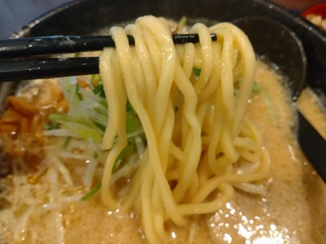 らぁめん鰹の本気 名取店（【旧店名】もちもちの木 仙台店） - 富沢（ラーメン）の写真