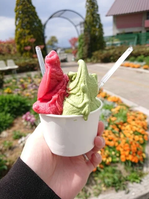 みどりの杜のカフェ - 荒井（カフェ）の写真