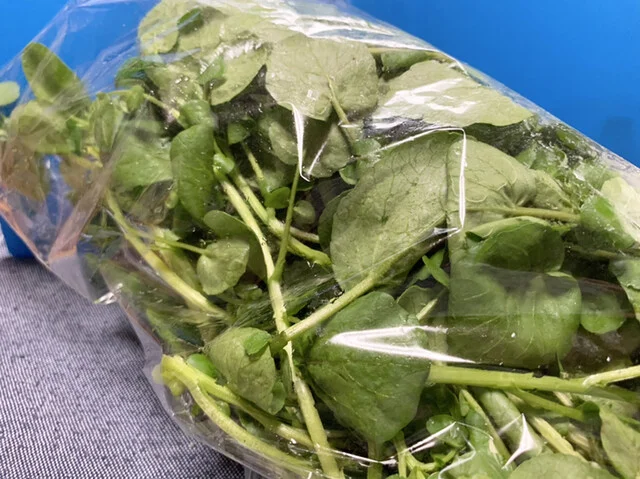 小室わさび屋 ゆりあげ港朝市店 - 美田園（その他）の写真