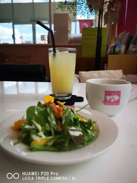 バウアイズ（BOWEYES） - 黒松（ヨーロッパ料理）の写真