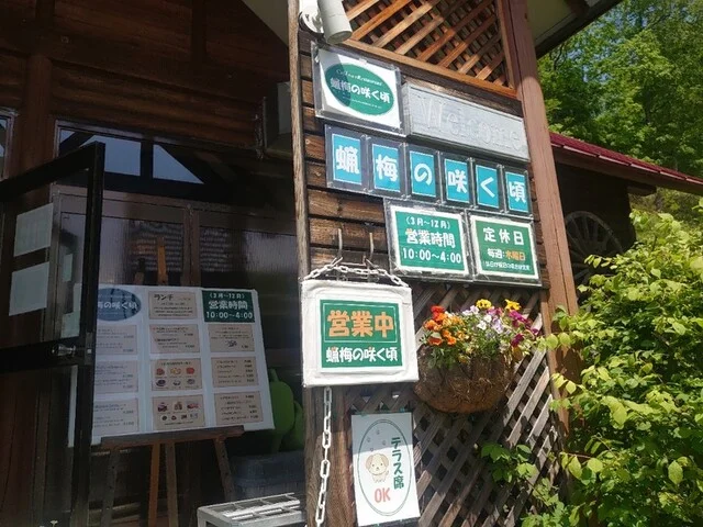 蝋梅の咲く頃（ロウバイノサクコロ） - 仙台市泉区その他（カフェ）の写真