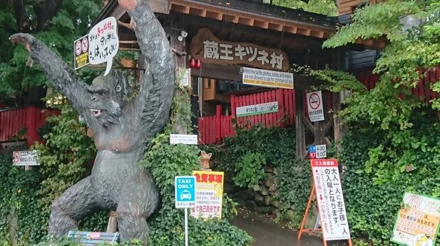 宮城蔵王 きつね村（MIYAGIZAO きつね村） - 白石（その他）の写真