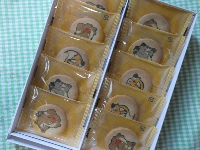 宮城蔵王 きつね村（MIYAGIZAO きつね村） - 白石（その他）の写真