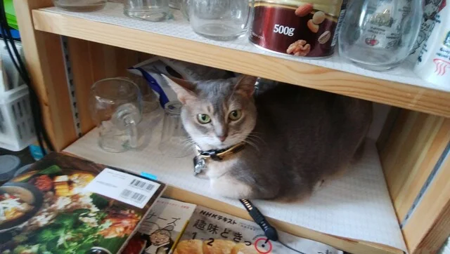 かめきちよりみち - 八乙女（カフェ）の写真