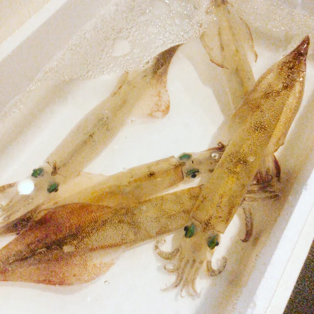 とりっぷ炉人 - 五所川原（居酒屋）の写真