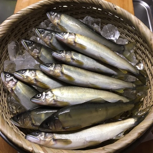 はやせ鮎 宮城鮎工房 - 西古川（その他）の写真