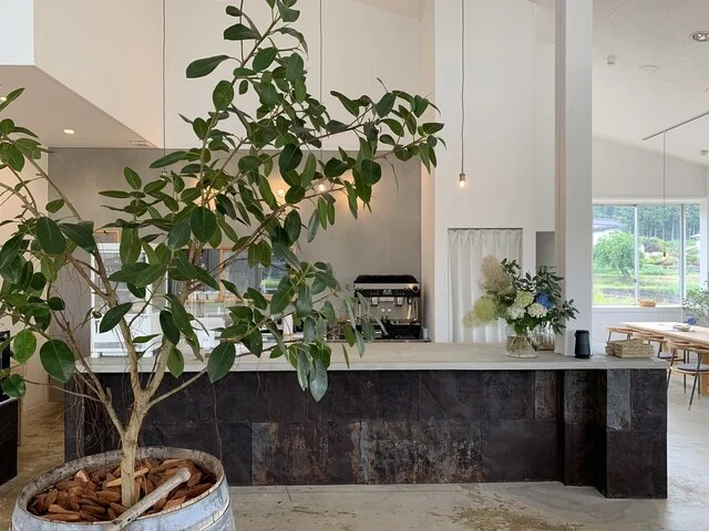 farmer's table mano（ファーマーズ テーブル マーノ） - 蔵王町その他（イタリアン）の写真