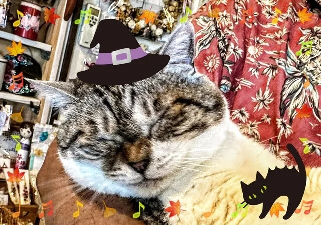 En Cafe（エン カフェ） - 蔵王町その他（カフェ）の写真