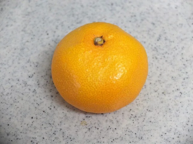 軽食喫茶コーナー フォレスト - 仙台市泉区その他（ラーメン）の写真