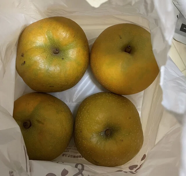 春日屋酒店 - 利府（その他）の写真