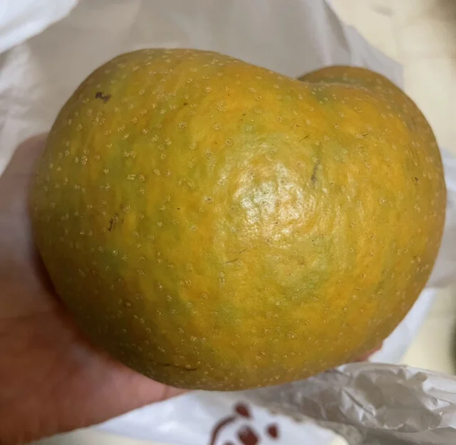 春日屋酒店 - 利府（その他）の写真