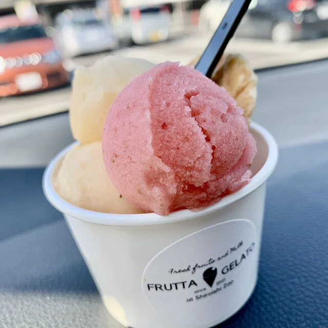 FRUTTA GELATO（フルッタ ジェラート） - 白石（ジェラート・アイスクリーム）の写真