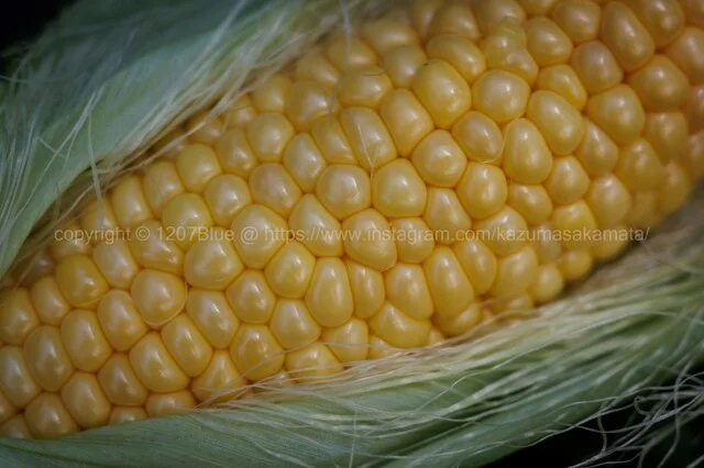 崎野農園 とうもろこし直売所 - 弘前市その他（その他）の写真