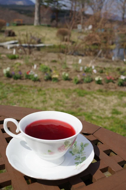 フェリシア（Felicia） - 仙台市泉区その他（カフェ）の写真