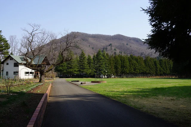 グリーンフィールドえむ（ＥＭ） - 陸前白沢（カフェ）の写真