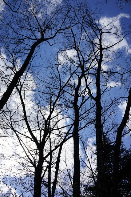 ラ・クルード・ヴァン（LA COULEUR DU VENT） - 仙台市泉区その他（カフェ）の写真