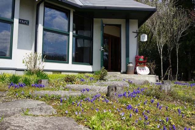 森の家 ウォールデン - 大和町その他（カフェ）の写真