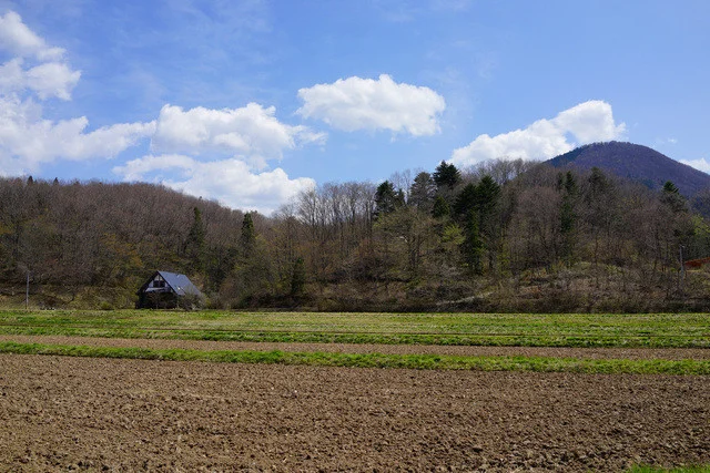 ラ・シャネッチャ（La Syanecha） - 大和町その他（カフェ）の写真