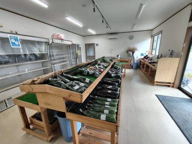 わんこの家（ワンコノイエ） - 白石蔵王（その他）の写真