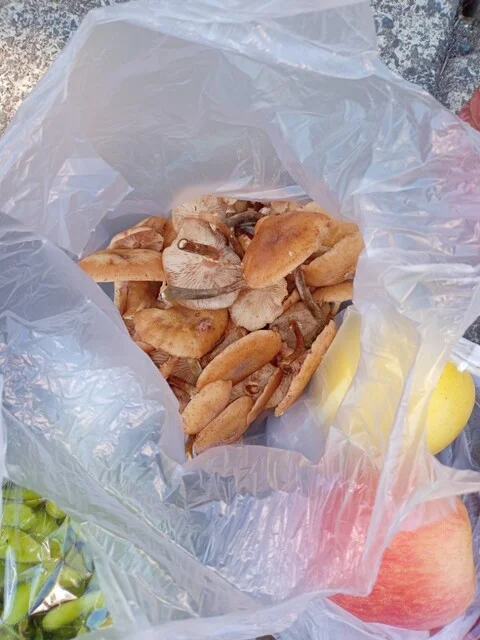 三国農園 - 中央弘前（その他）の写真