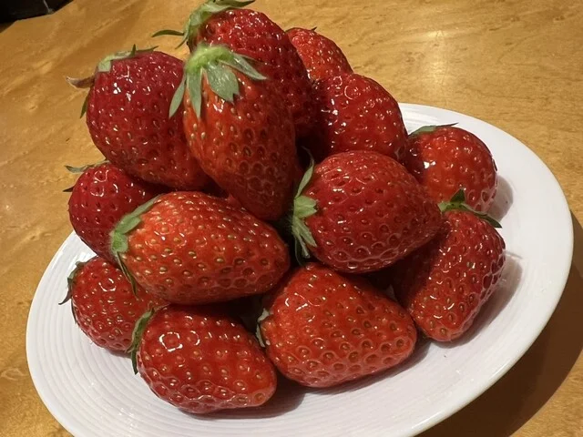 やまもと夢いちごの郷 - 坂元（その他）の写真