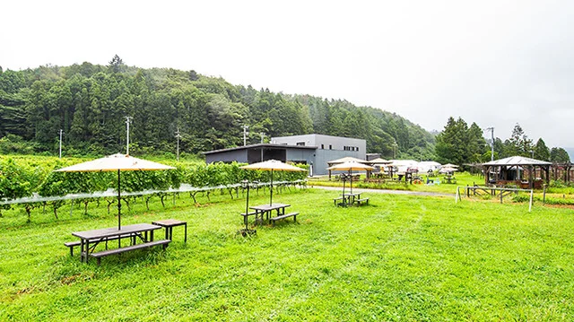 秋保ワイナリー（Akiu Winery） - 仙台市太白区その他（その他）の写真