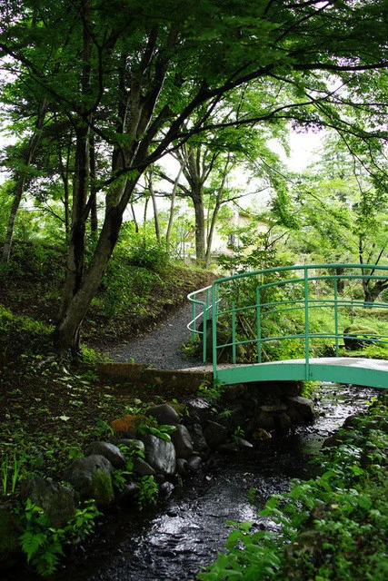 ドットーレ（Dottore） - 仙台市太白区その他（ピザ）の写真