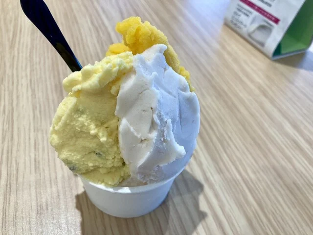 イタガキ&times;ジェラテリア ラ フェスタ 三井アウトレットパーク仙台港店（ITAGAKI &times; GELATERIA LA FESTA） - 中野栄（ジューススタンド）の写真