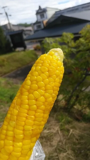 田沢旅館 - 岩木町その他（旅館・民宿）の写真