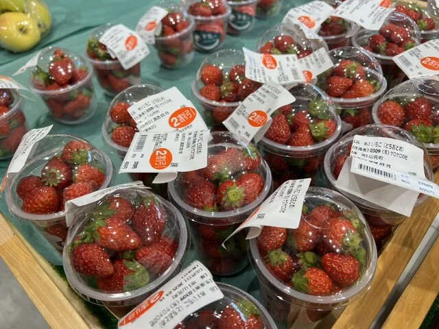 やまもと夢いちごの郷 - 坂元（その他）の写真