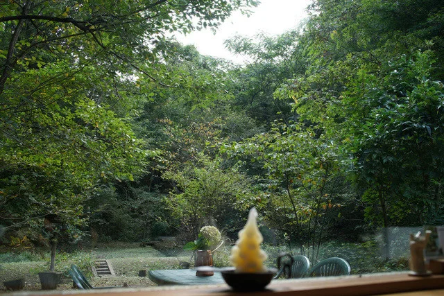 ラ・シャネッチャ（La Syanecha） - 大和町その他（カフェ）の写真