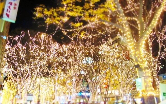 旅籠（はたご） - 勾当台公園（日本酒バー）の写真