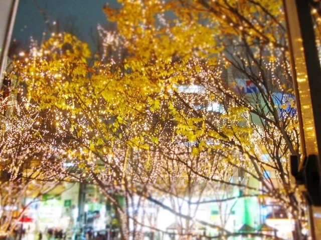 旅籠（はたご） - 勾当台公園（日本酒バー）の写真