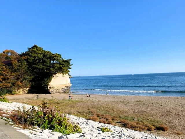 とんかつ すず広 - 下馬（とんかつ）の写真