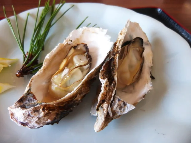 ベイランド - 松島海岸（喫茶店）の写真