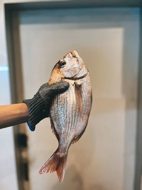 酒場 フジコ - あおば通（居酒屋）の写真