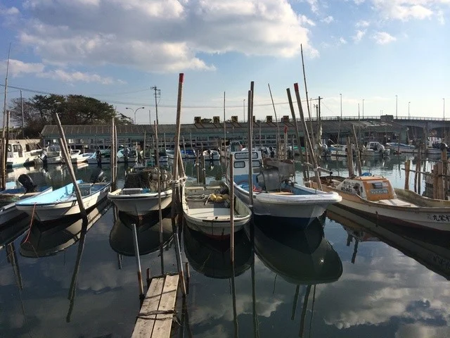 杉原功商店 - 高城町（シーフード）の写真
