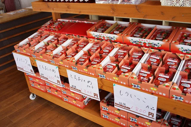 ベリーベリーラボ（Berry Very Labo） - 山下（カフェ）の写真