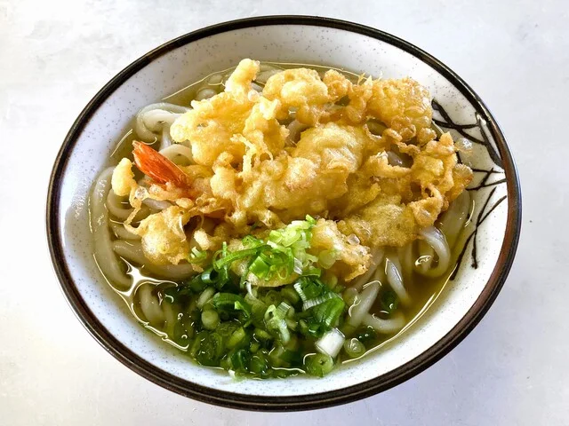 さぬきうどん - 東塩釜（うどん）の写真