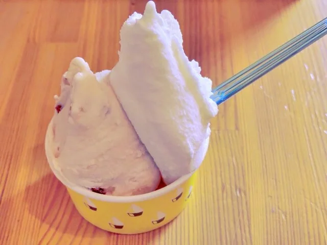 ジェラテリア フルーツラボラトリー（Gerateria Fruits Laboratory） - 本塩釜（ジェラート・アイスクリーム）の写真