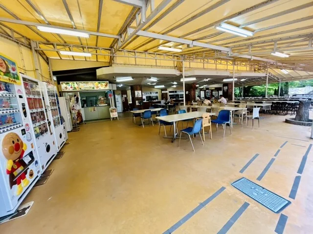 森の食堂 - 八木山動物公園（食堂）の写真