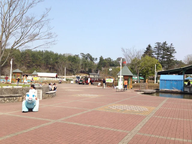 レストラン チャチャ - 石越（ラーメン）の写真