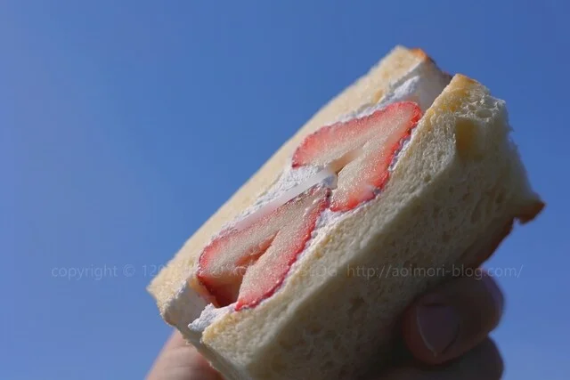 ゴージャス先生 - 北里大学前（パン）の写真