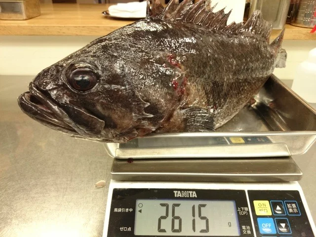 トラットリアリパージオ（trattoria LIPAGIO） - 中央弘前（イタリアン）の写真