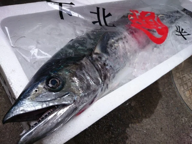 トラットリアリパージオ（trattoria LIPAGIO） - 中央弘前（イタリアン）の写真