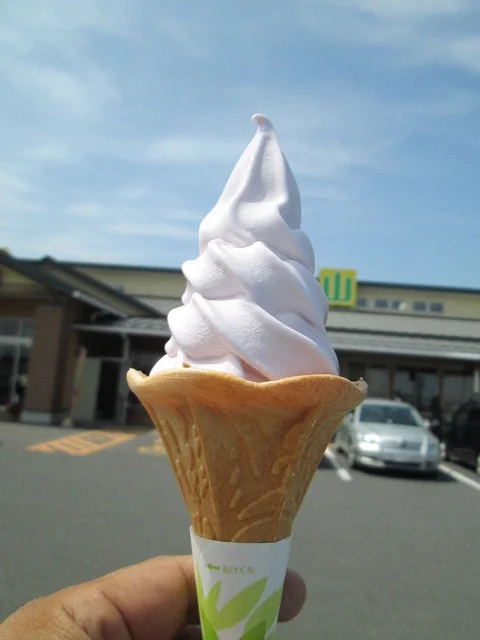 道の駅米山 ふる里センターY・Y - 登米市その他（道の駅）の写真